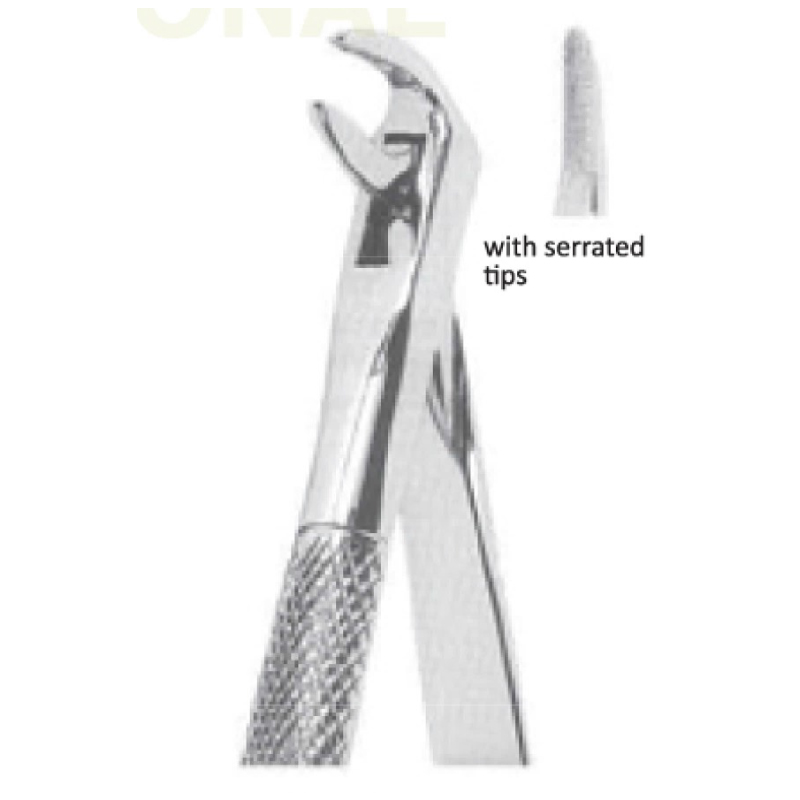 EXTRACTING FORCEPS